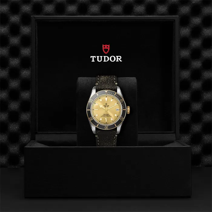 Tudor Earrings TUDOR Black Bay SG 41mm Steel and Gold