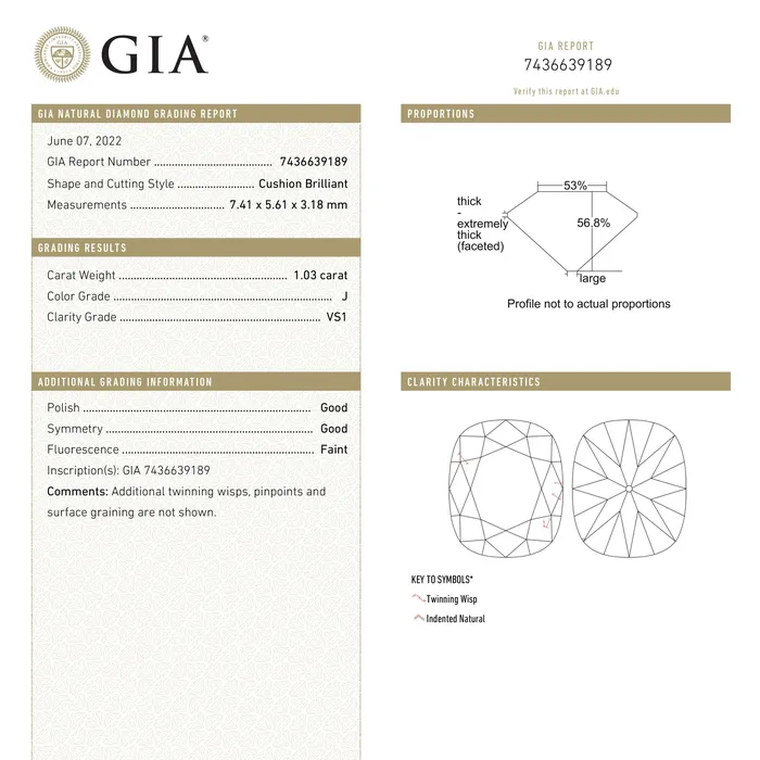Misfit Diamonds 103ct 741x561x318mm GIA VS1 J Modern Antique Old Mine Cut 2570201 Rings