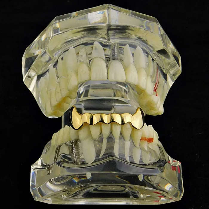 14K Gold Plated Half Bottom Teeth Vampire Fangs Grillz Bling Cartel Admin PreStyled Sets