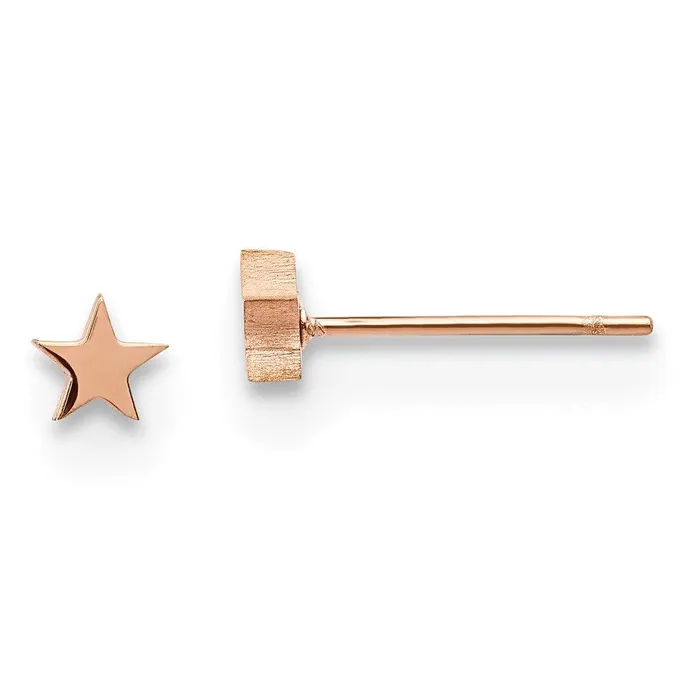 Chisel Earrings Stainless Steel Polished Rose IPplated Star Post Earrings