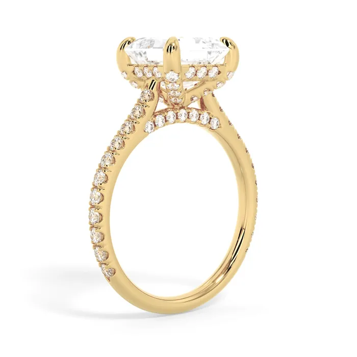 deBebians Rings Diamond Adorned Engagement Ring Setting