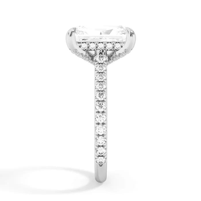 deBebians Rings Diamond Adorned Engagement Ring Setting