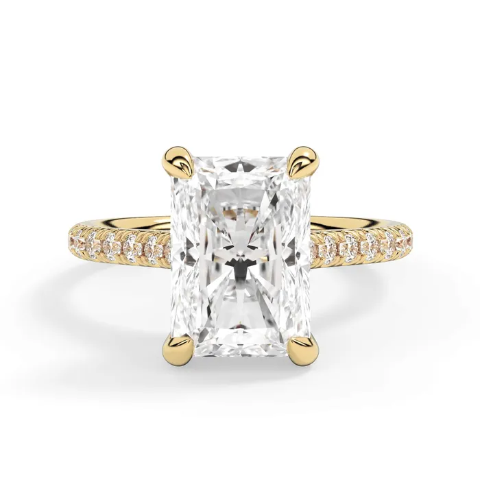 deBebians Rings Diamond Adorned Engagement Ring Setting