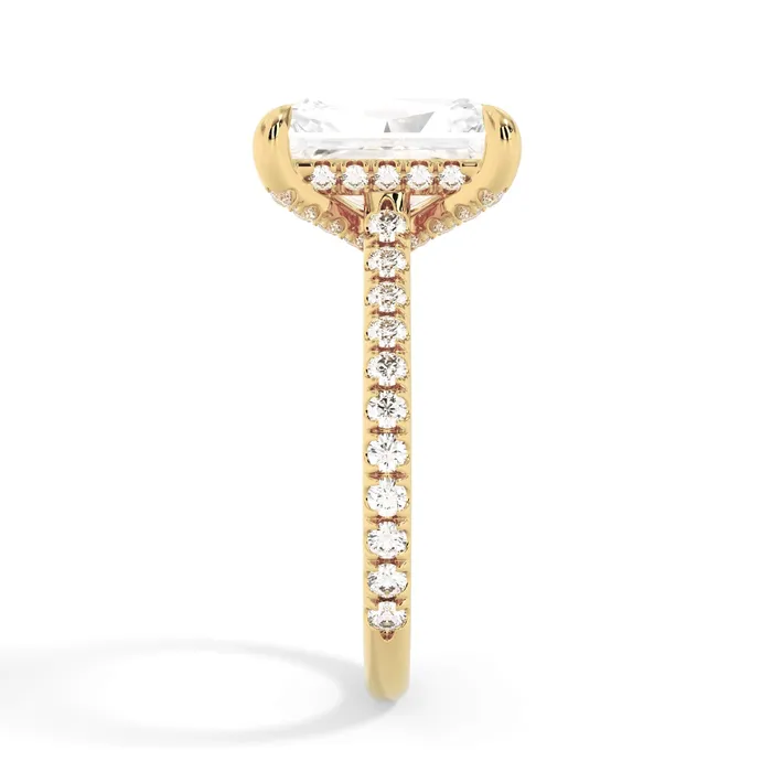 deBebians Rings Diamond Adorned Engagement Ring Setting