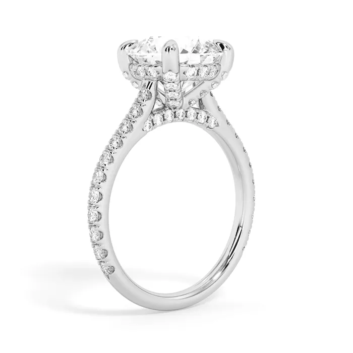 deBebians Rings Diamond Adorned Engagement Ring Setting