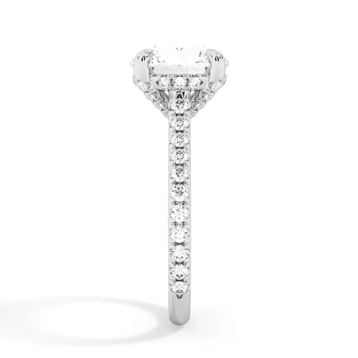deBebians Rings Diamond Adorned Engagement Ring Setting