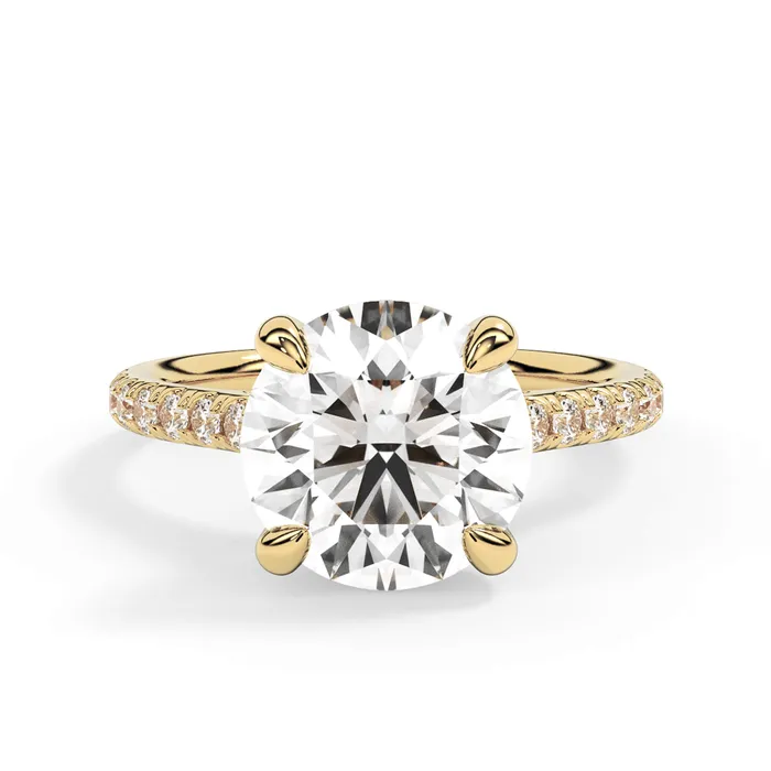 deBebians Rings Diamond Adorned Engagement Ring Setting