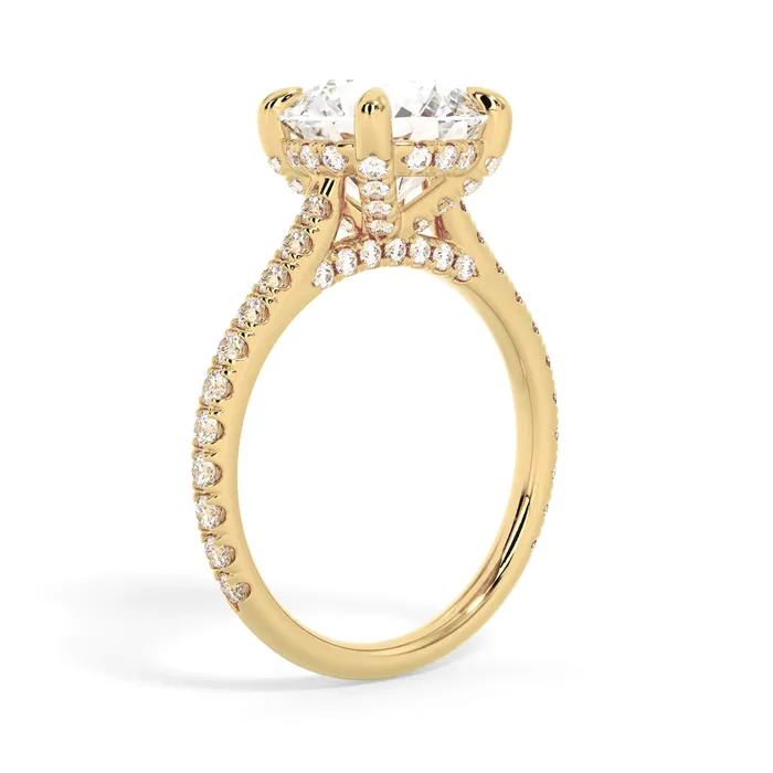 deBebians Rings Diamond Adorned Engagement Ring Setting
