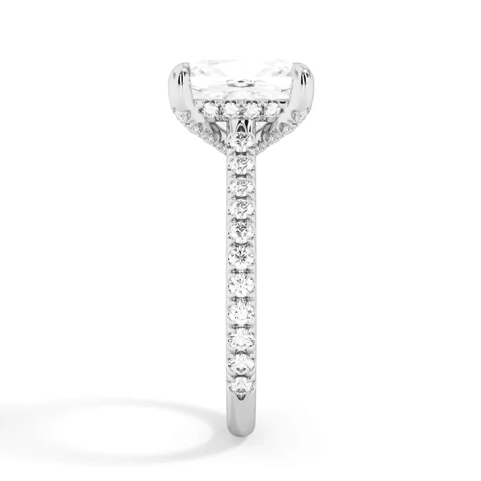 deBebians Rings Diamond Adorned Engagement Ring Setting
