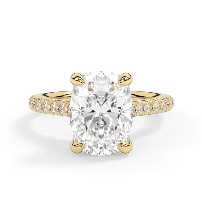 deBebians Rings Diamond Adorned Engagement Ring Setting