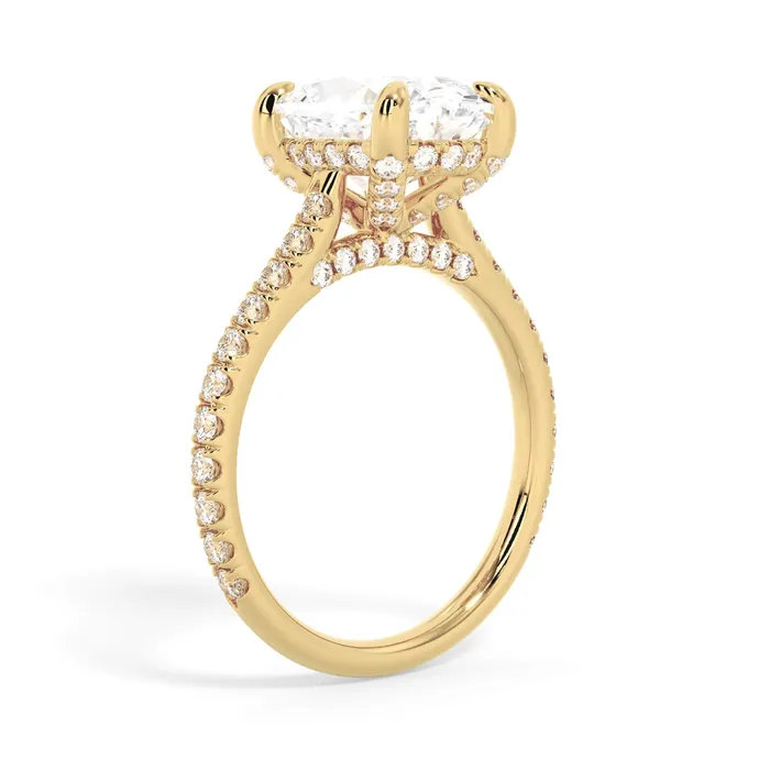 deBebians Rings Diamond Adorned Engagement Ring Setting