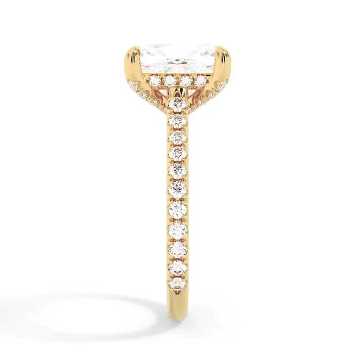 deBebians Rings Diamond Adorned Engagement Ring Setting