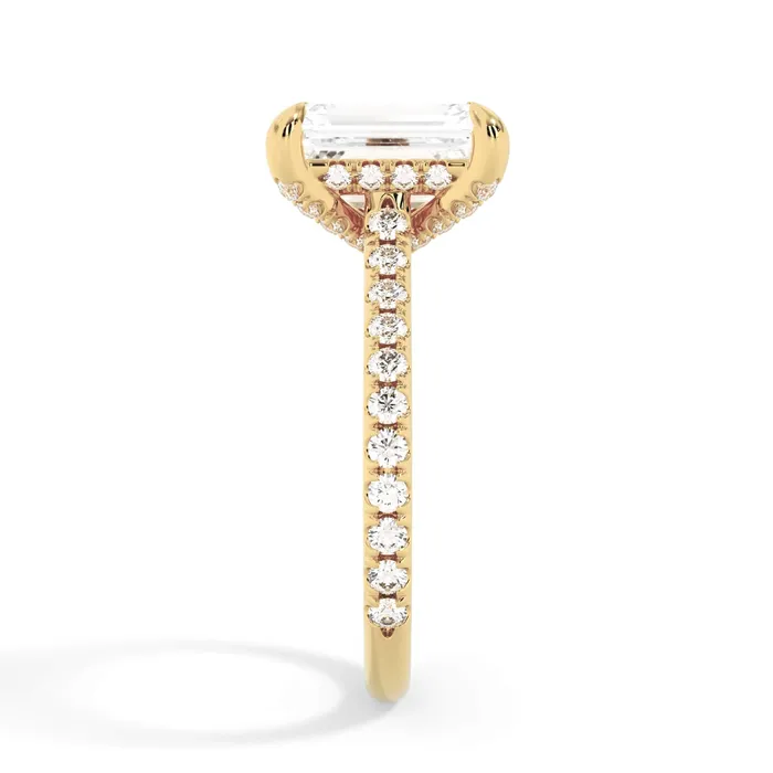 deBebians Rings Diamond Adorned Engagement Ring Setting