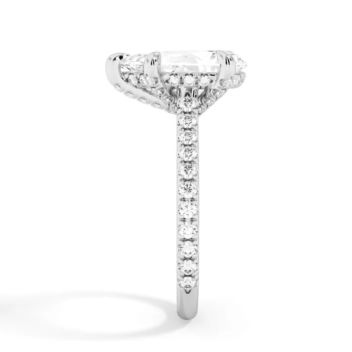 deBebians Rings Diamond Adorned Engagement Ring Setting