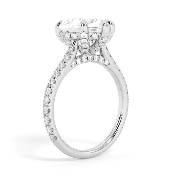 deBebians Rings Diamond Adorned Engagement Ring Setting