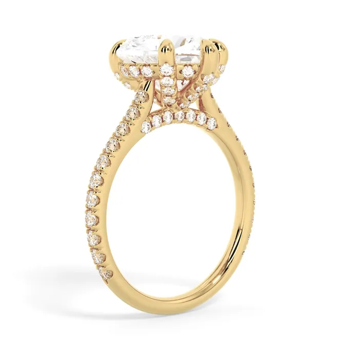 deBebians Rings Diamond Adorned Engagement Ring Setting
