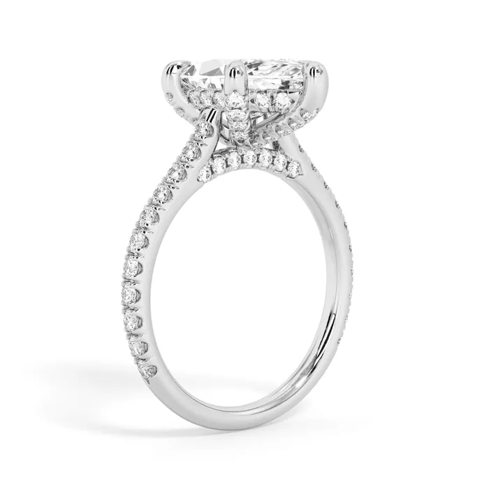 deBebians Rings Diamond Adorned Engagement Ring Setting