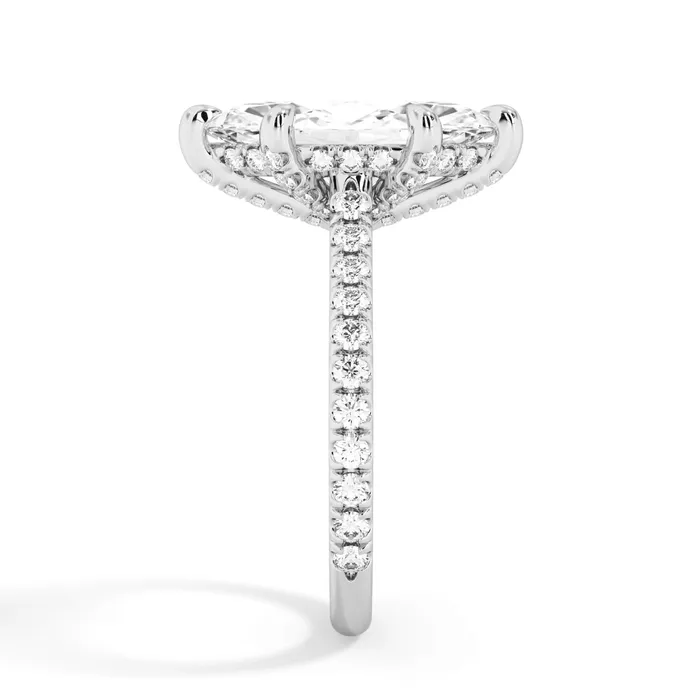 deBebians Rings Diamond Adorned Engagement Ring Setting
