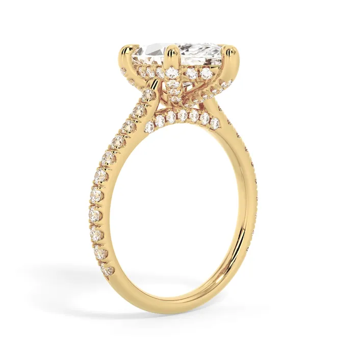 deBebians Rings Diamond Adorned Engagement Ring Setting