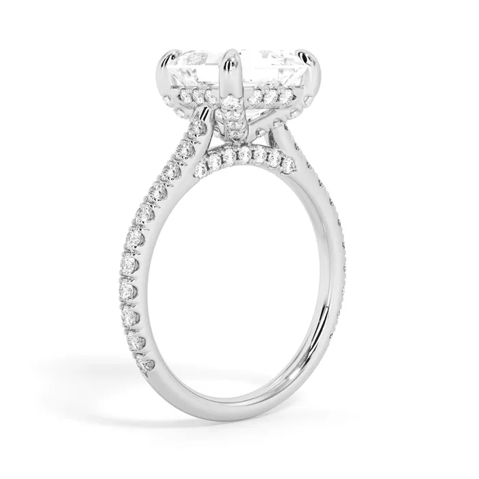 deBebians Rings Diamond Adorned Engagement Ring Setting