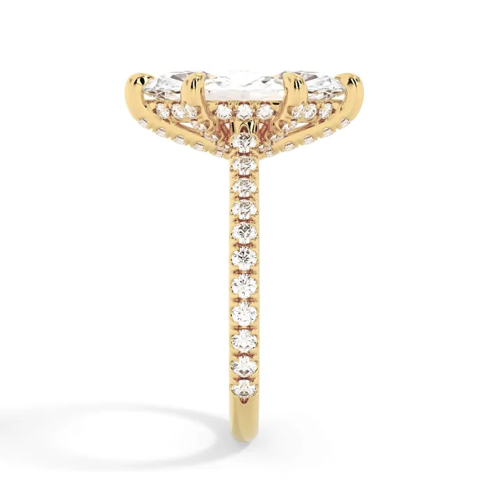 deBebians Rings Diamond Adorned Engagement Ring Setting