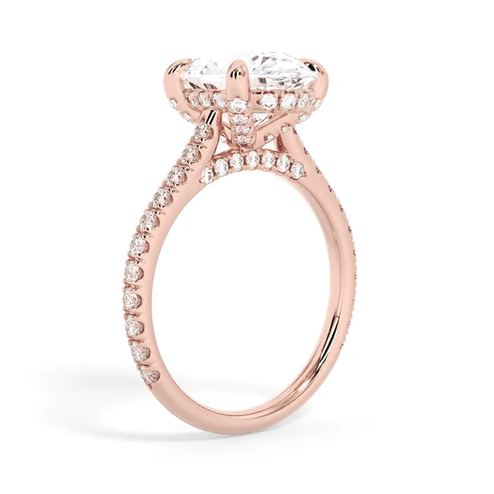 deBebians Rings Diamond Adorned Engagement Ring Setting