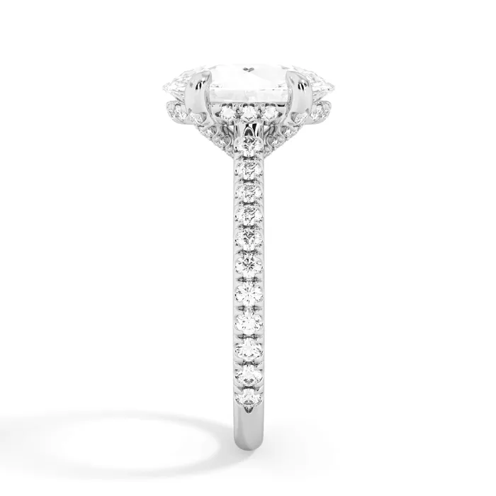 deBebians Rings Diamond Adorned Engagement Ring Setting