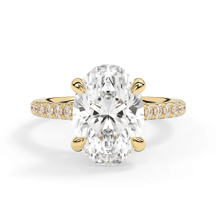 deBebians Rings Diamond Adorned Engagement Ring Setting