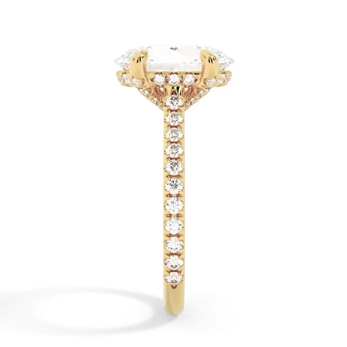 deBebians Rings Diamond Adorned Engagement Ring Setting