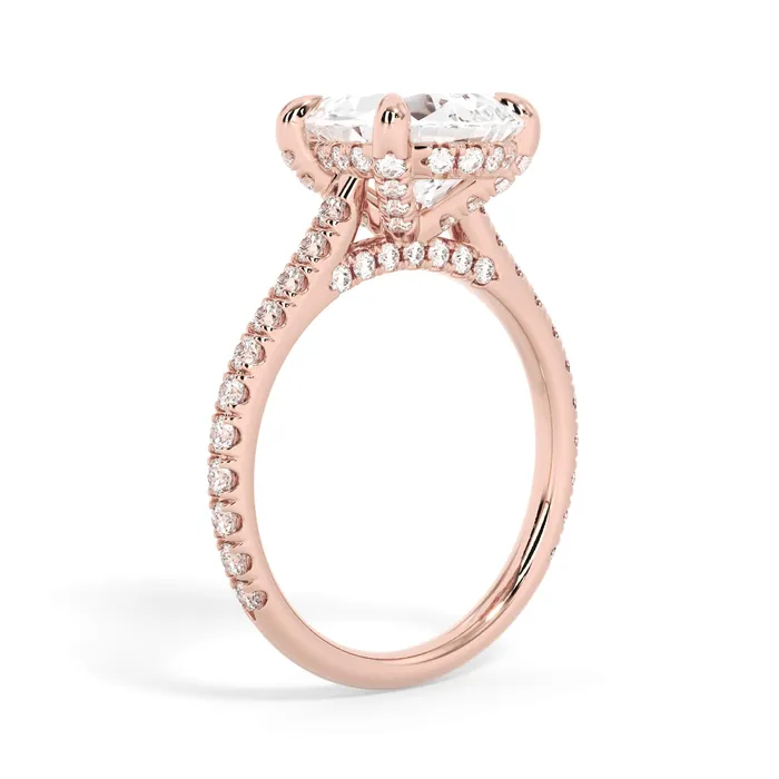 deBebians Rings Diamond Adorned Engagement Ring Setting