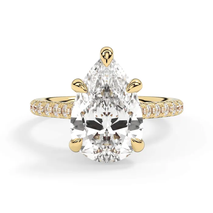deBebians Rings Diamond Adorned Engagement Ring Setting