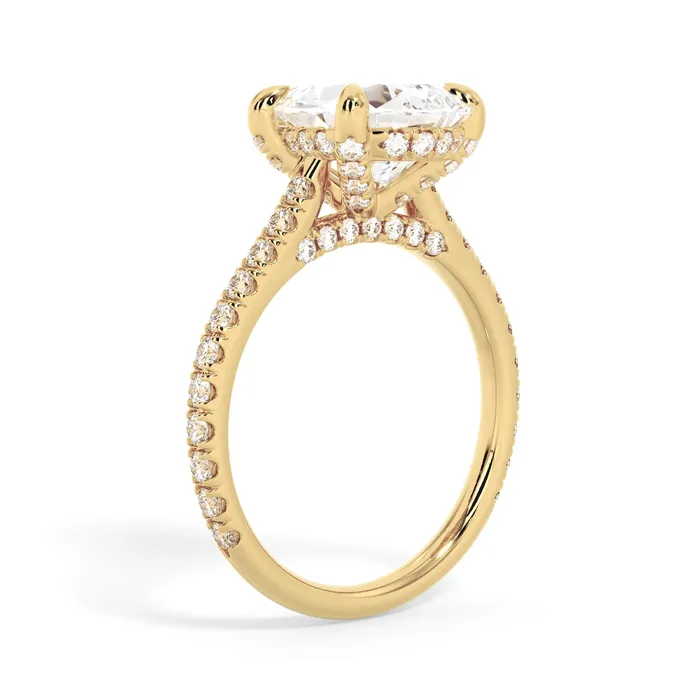 deBebians Rings Diamond Adorned Engagement Ring Setting