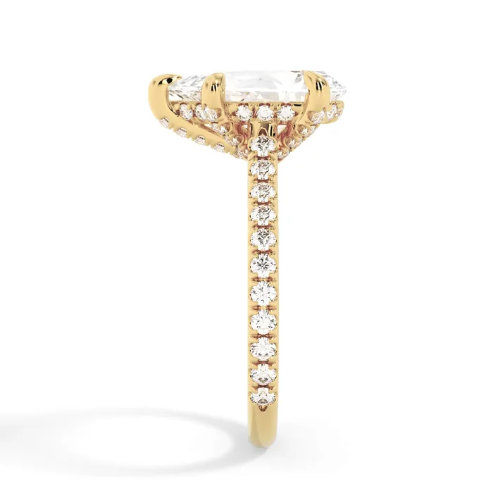 deBebians Rings Diamond Adorned Engagement Ring Setting