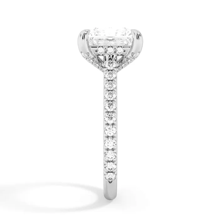 deBebians Rings Diamond Adorned Engagement Ring Setting