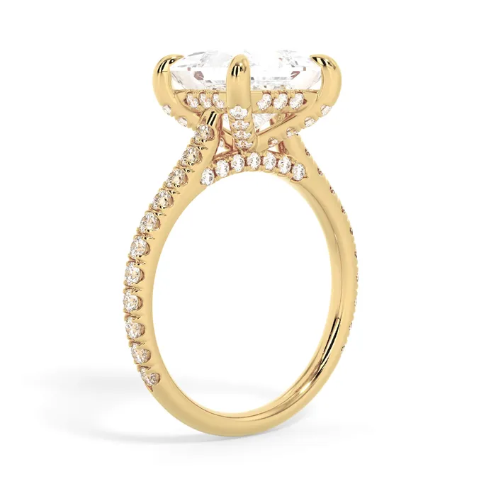 deBebians Rings Diamond Adorned Engagement Ring Setting