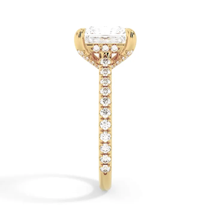 deBebians Rings Diamond Adorned Engagement Ring Setting