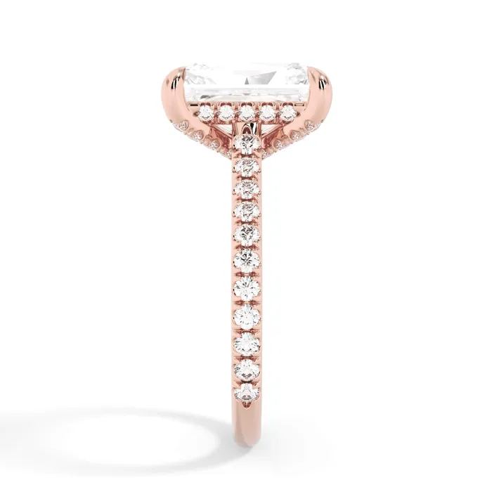 deBebians Rings Diamond Adorned Engagement Ring Setting