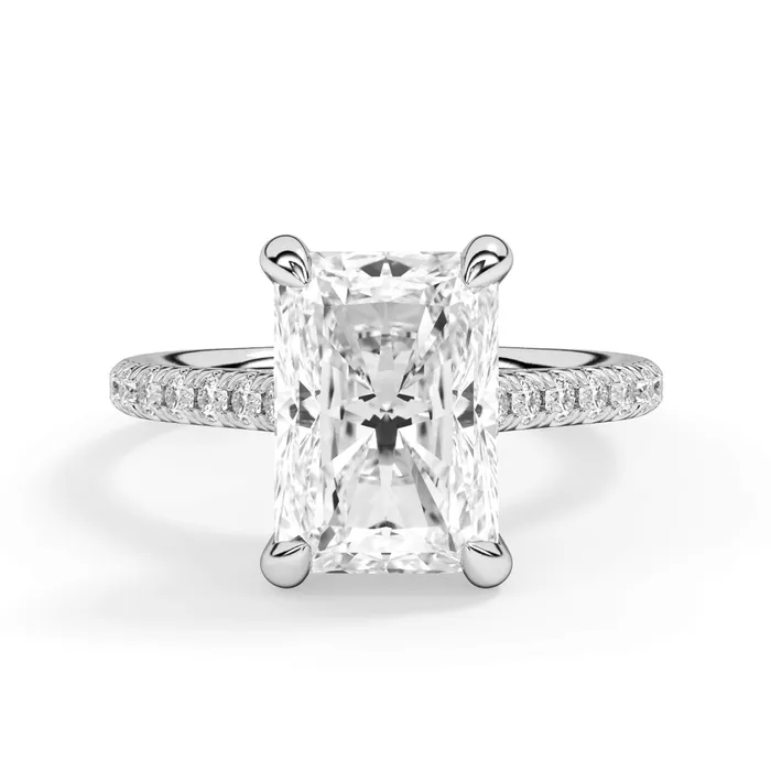deBebians Rings Diamond Adorned Engagement Ring Setting