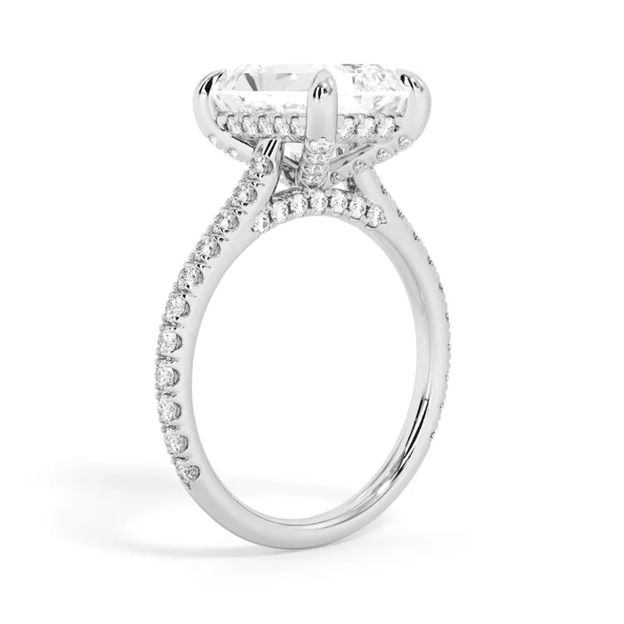 deBebians Rings Diamond Adorned Engagement Ring Setting