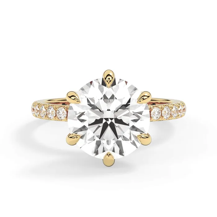 deBebians Rings Round Pave Engagement Ring