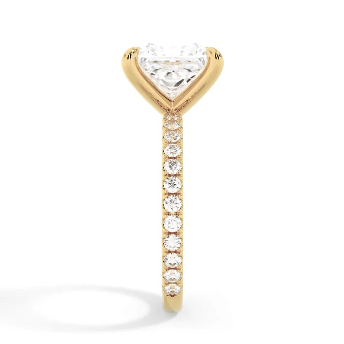 deBebians Rings Round Pave Engagement Ring