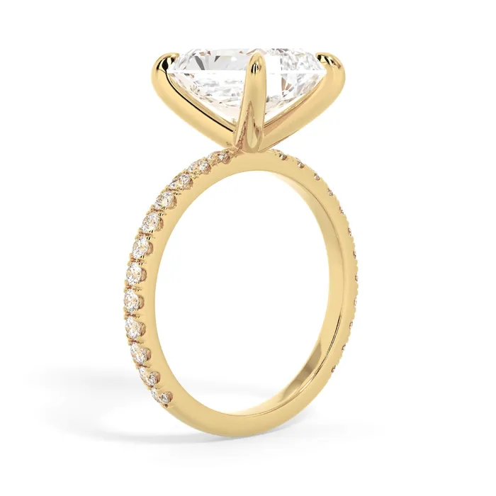 deBebians Rings Round Pave Engagement Ring