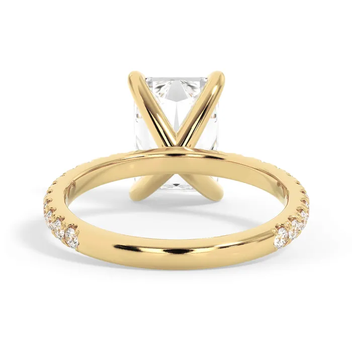 deBebians Rings Round Pave Engagement Ring