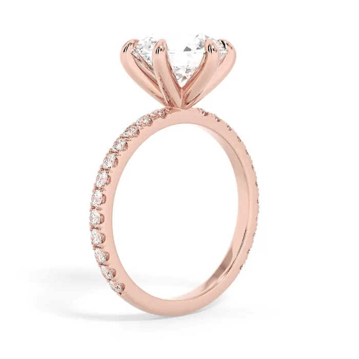 deBebians Rings Round Pave Engagement Ring