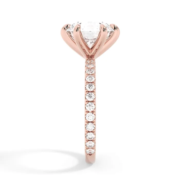 deBebians Rings Round Pave Engagement Ring