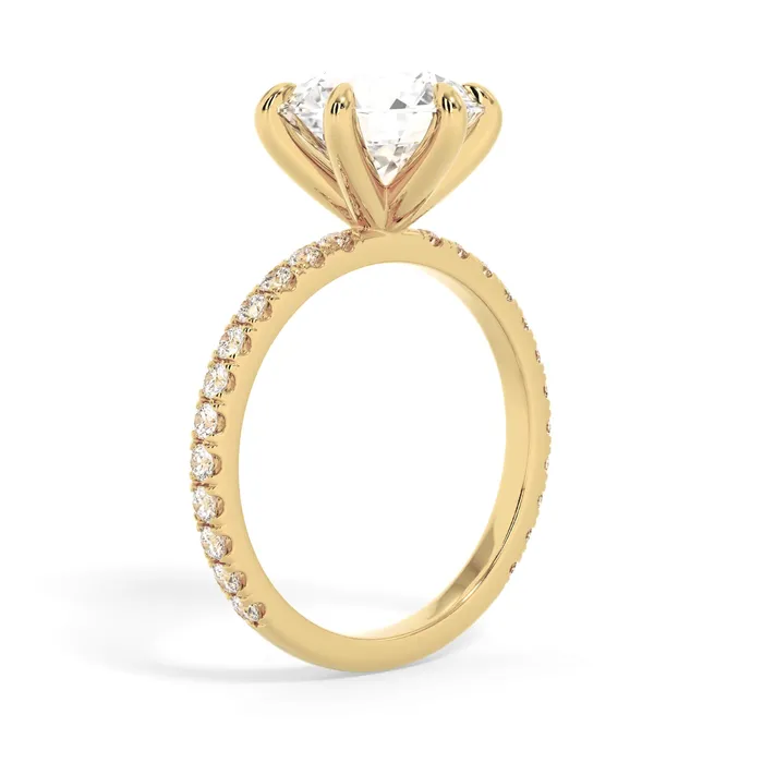 deBebians Rings Round Pave Engagement Ring