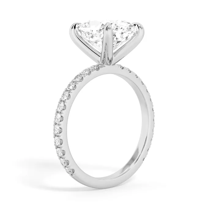 deBebians Rings Round Pave Engagement Ring