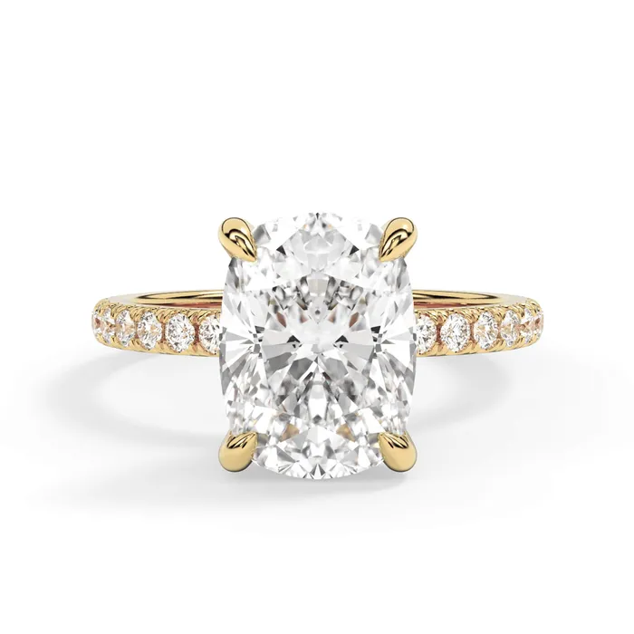 deBebians Rings Round Pave Engagement Ring