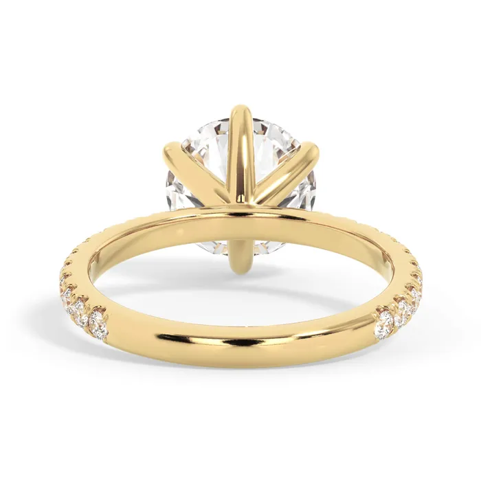 deBebians Rings Round Pave Engagement Ring