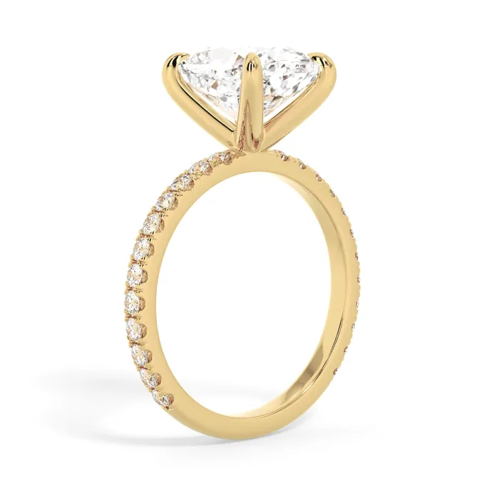deBebians Rings Round Pave Engagement Ring